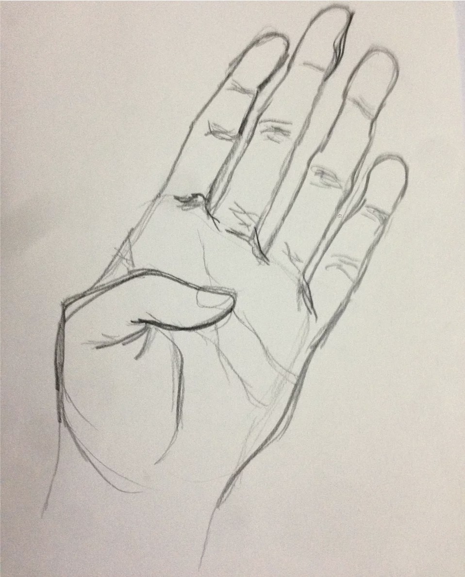 Loose pencil study of a hand, palm facing forward, fingers spread