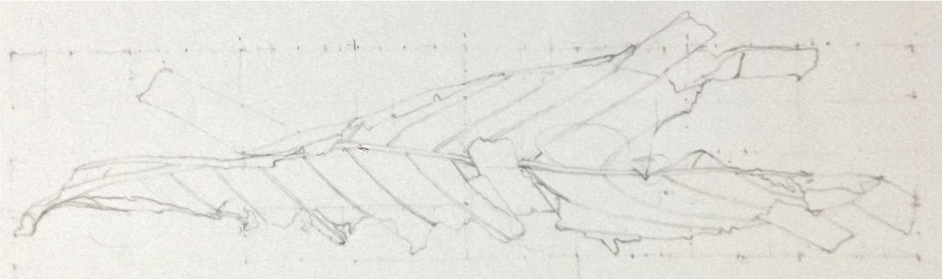 Pencil study of a leaf on gridded paper, showing its central vein and structure