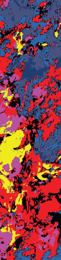 High-contrast pass isolating 8 color groups